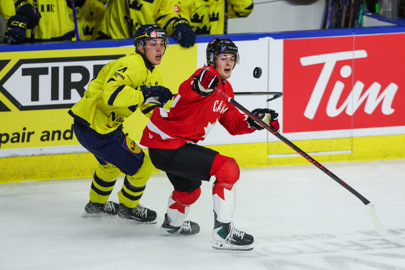 Juniorkronornas Linus Eriksson i närkamp med Kanadas Carter Bear. Foto: Nick Iwanyshyn/AP/TT