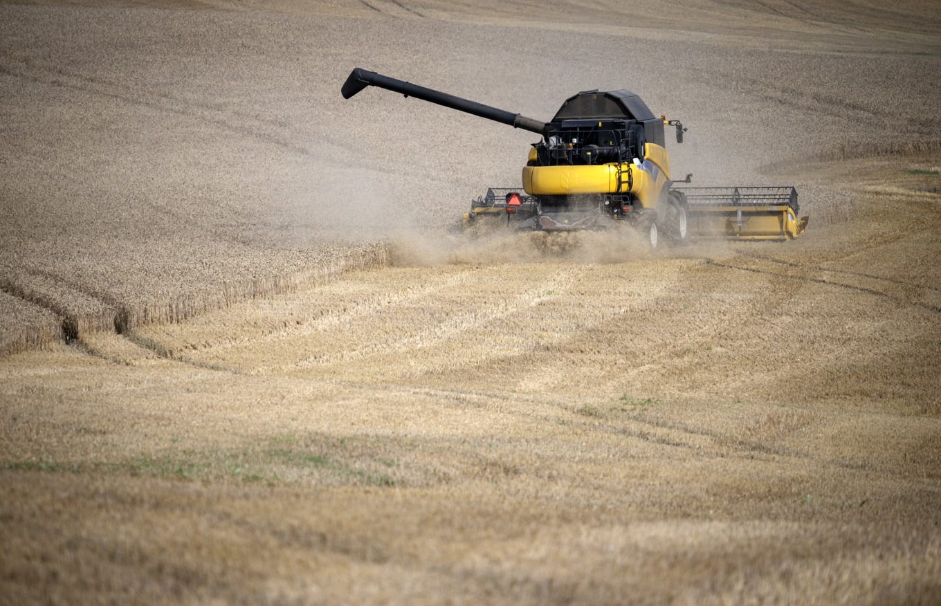 Producentpriserna gick ned i årstakt, men upp jämfört med månaden före. Arkivbild Foto: Johan Nilsson/TT