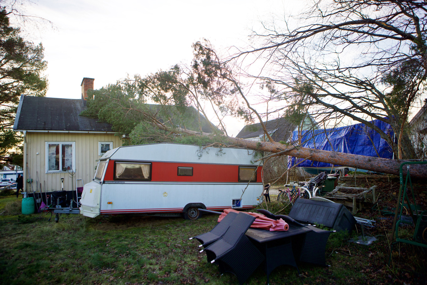 Du får ersättning för skadan men inte för att forsla bort trädet som fallit. På bilden syns ett hus som fått ett träd över sig efter stormen Johannes framfart. Foto: Ida Frid/TT