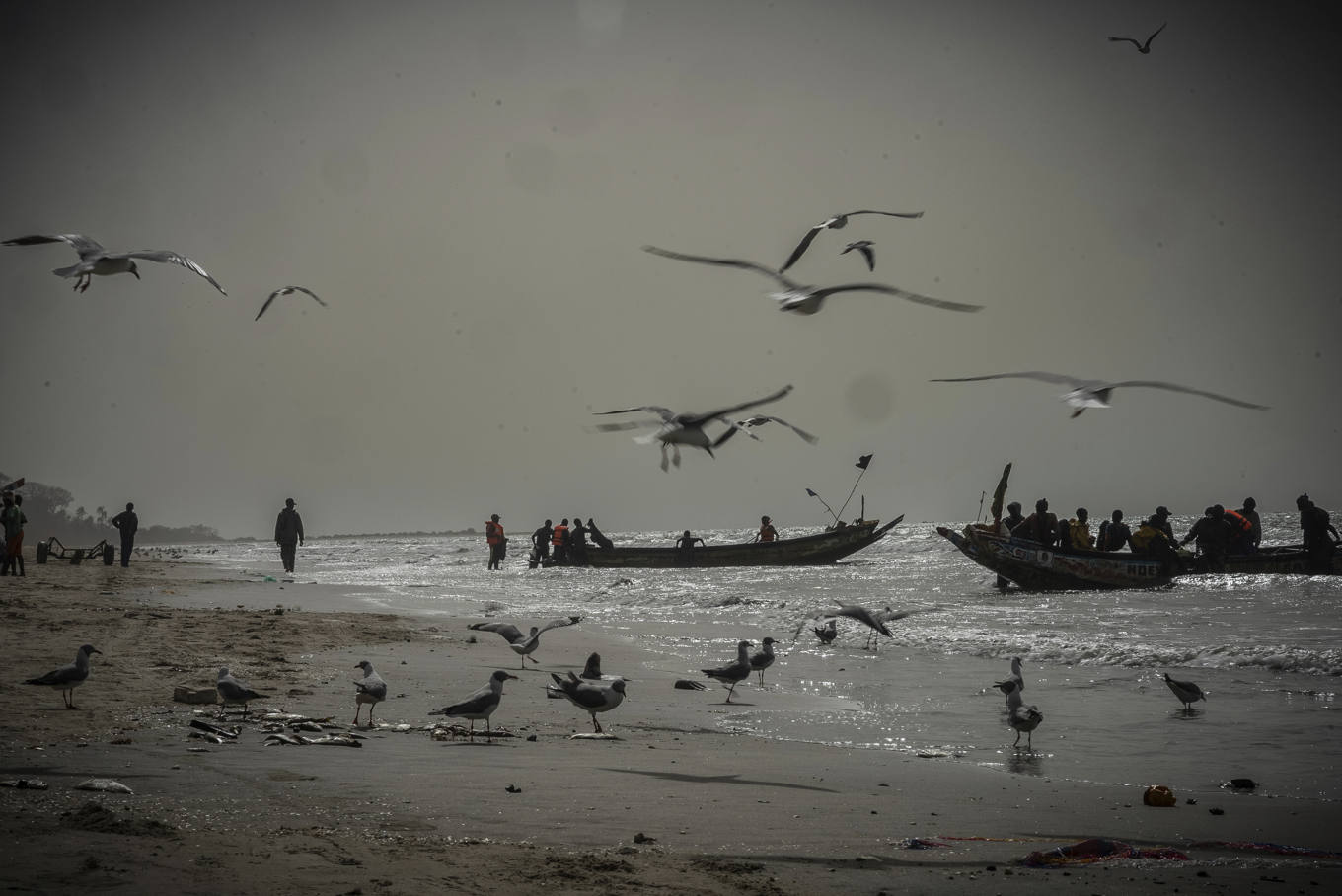 Tiotals människor befaras ha omkommit i Atlanten utanför Gambia. Den här bilden av fiskarbåtar togs på en strand i Gambia vid ett annat tillfälle. Foto: Grace Ekpu/AP/TT