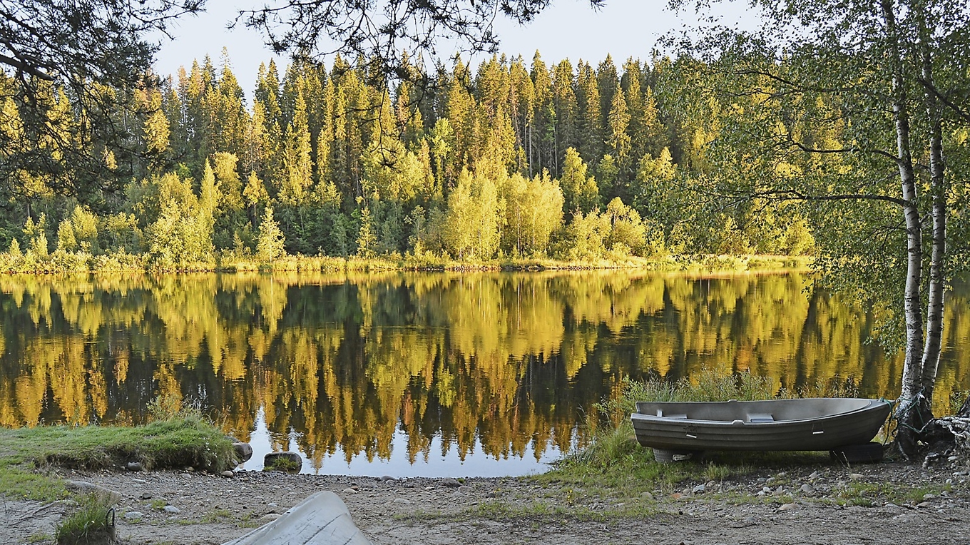 Hus och sommarstugor som tidigare legat vid en sjöstrand riskerar nu att bli liggande vid en sumpig ödemark i stället för vid en glittrande sjö, skriver krönikören. Foto: Eva Sagerfors