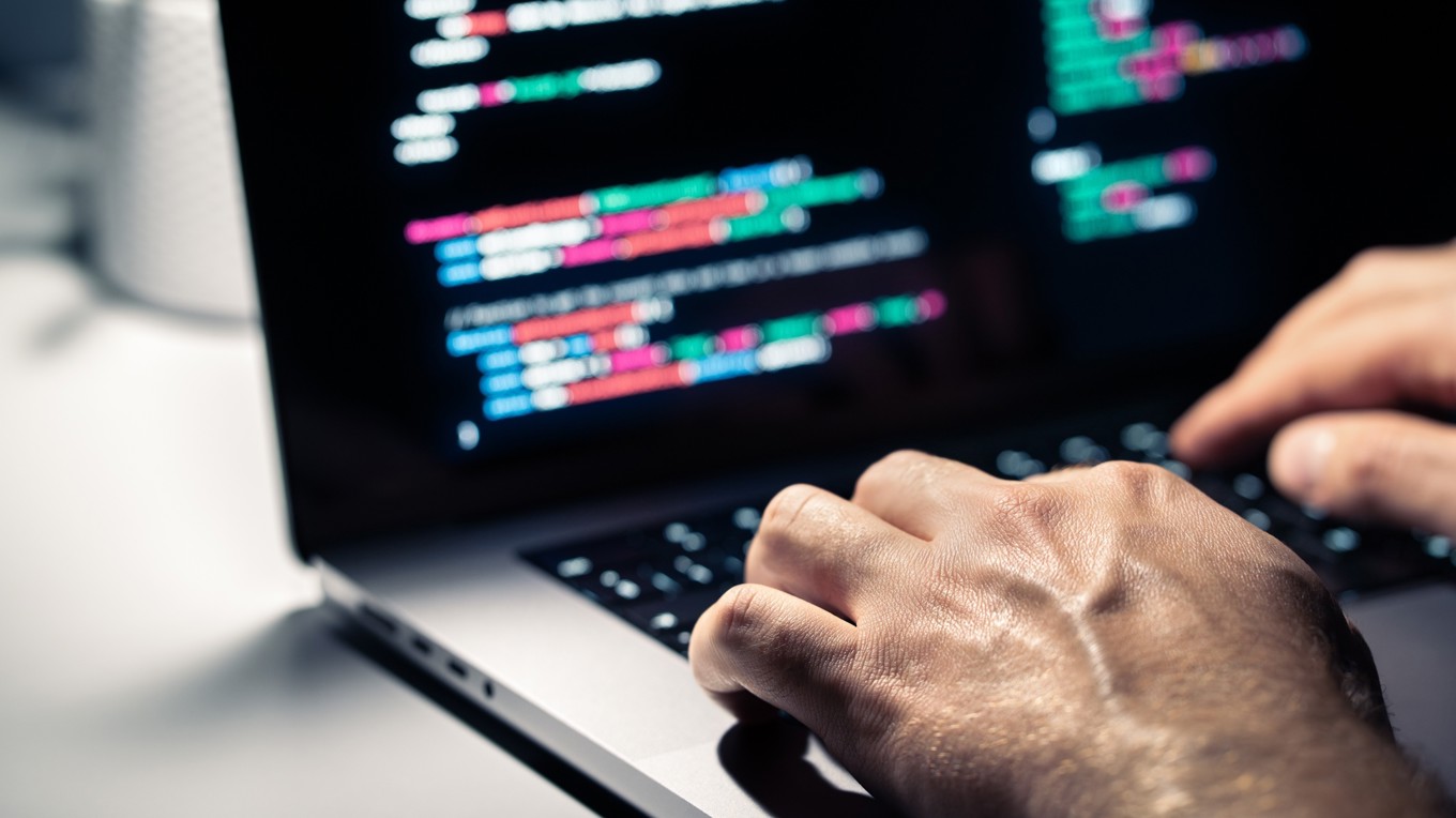 Enligt Svensk Handel finns det många falska webbsidor som har för avsikt att lura konsumenter. Foto: Tero Vesalainen/Shutterstock