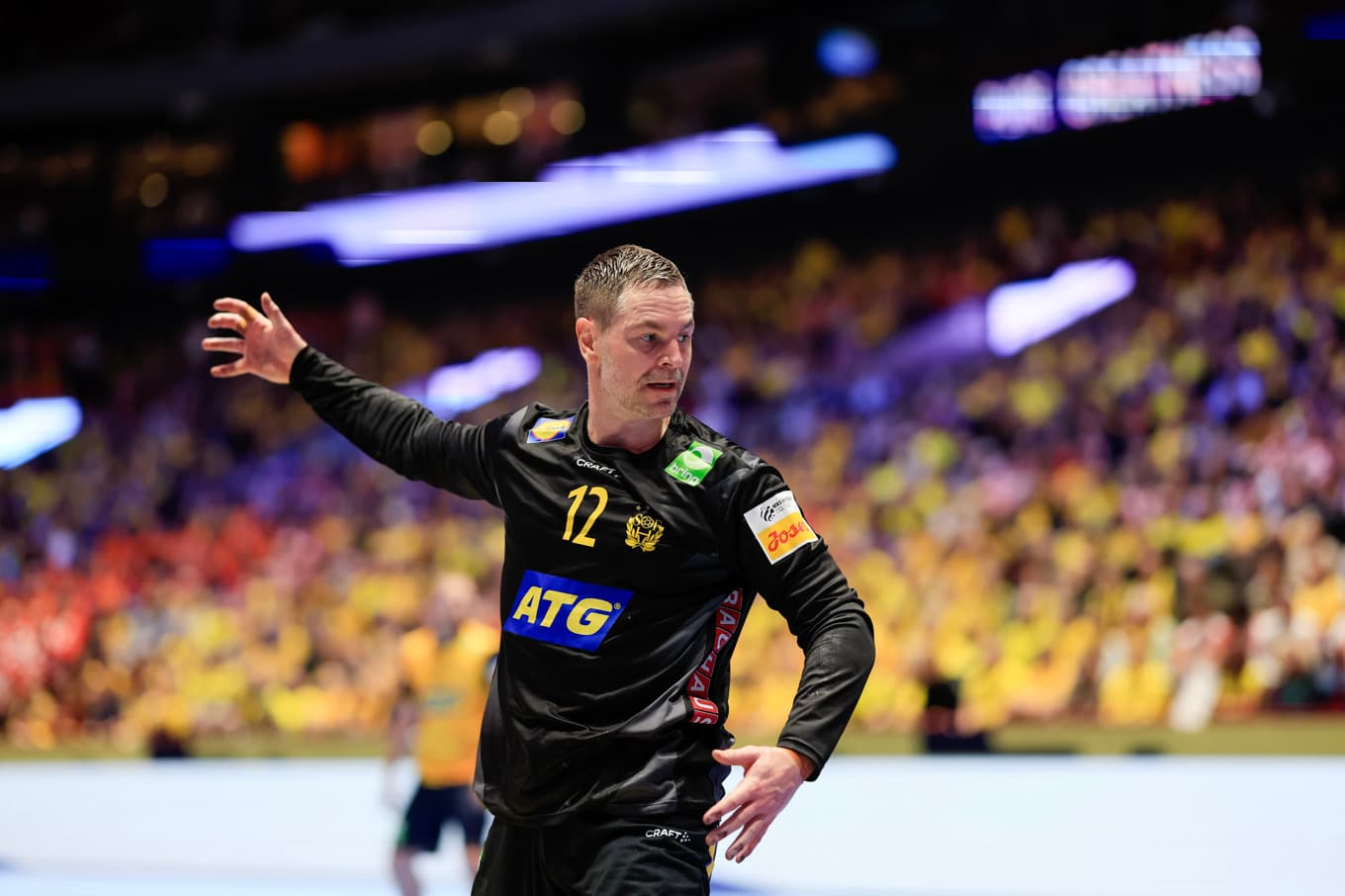 Andreas Palicka. Foto: Andreas Hillergren/TT