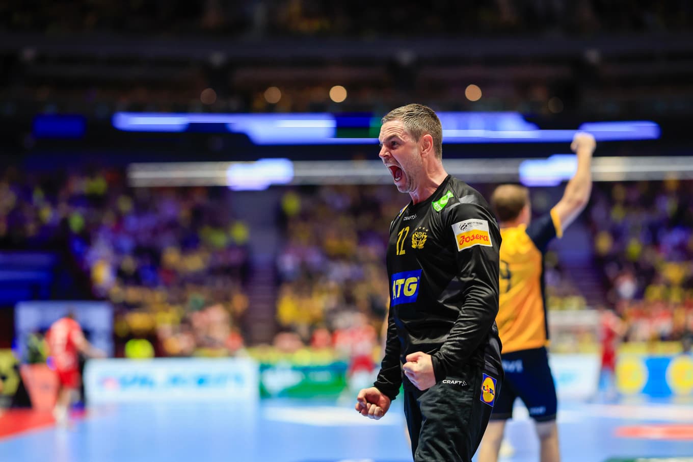 Andreas Palicka. Foto: Andreas Hillergren/TT