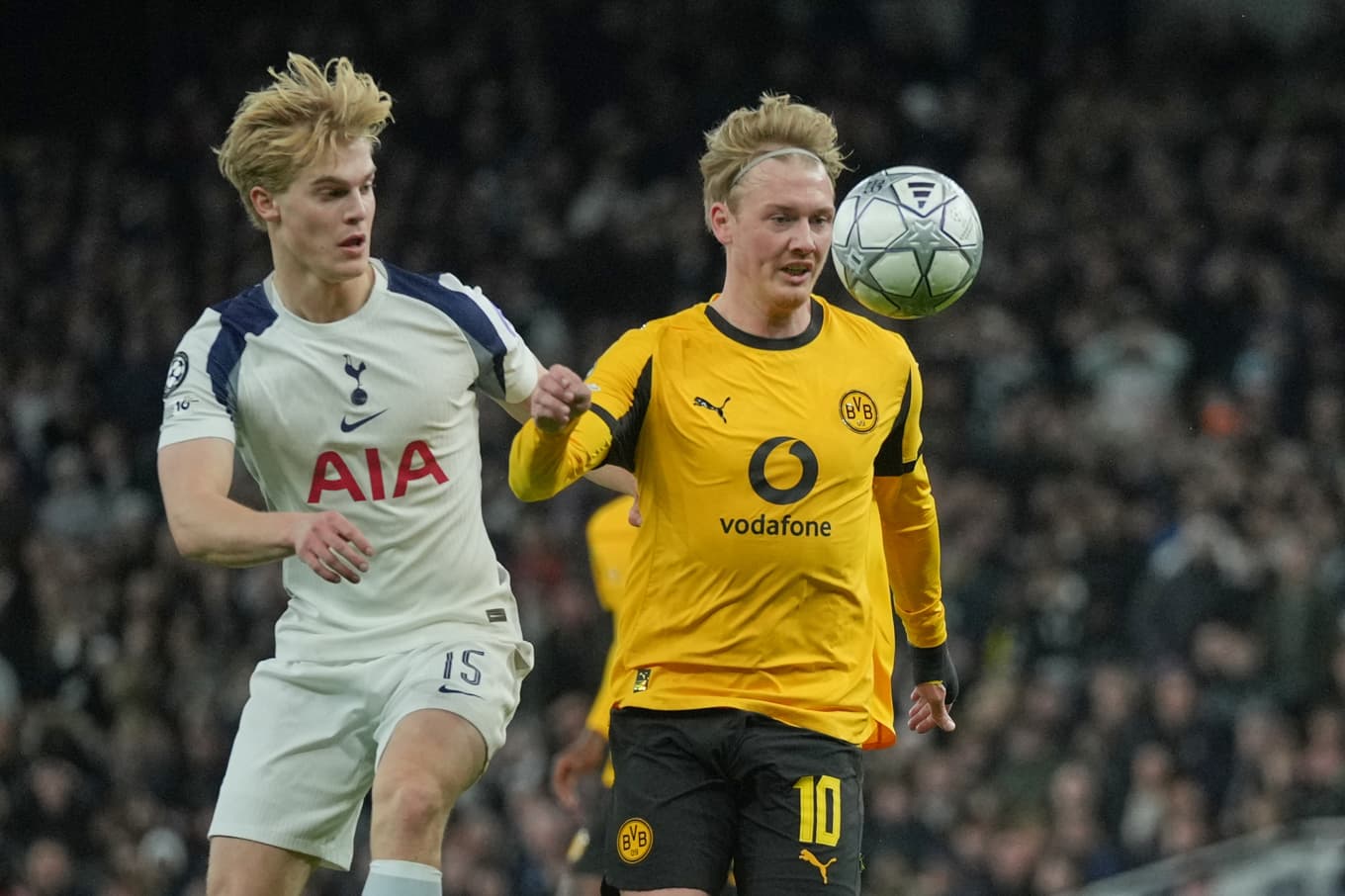 Tottenhams Lucas Bergvall i matchen mot Dortmund på tisdagen. Foto: Kin Cheung  /AP/TT