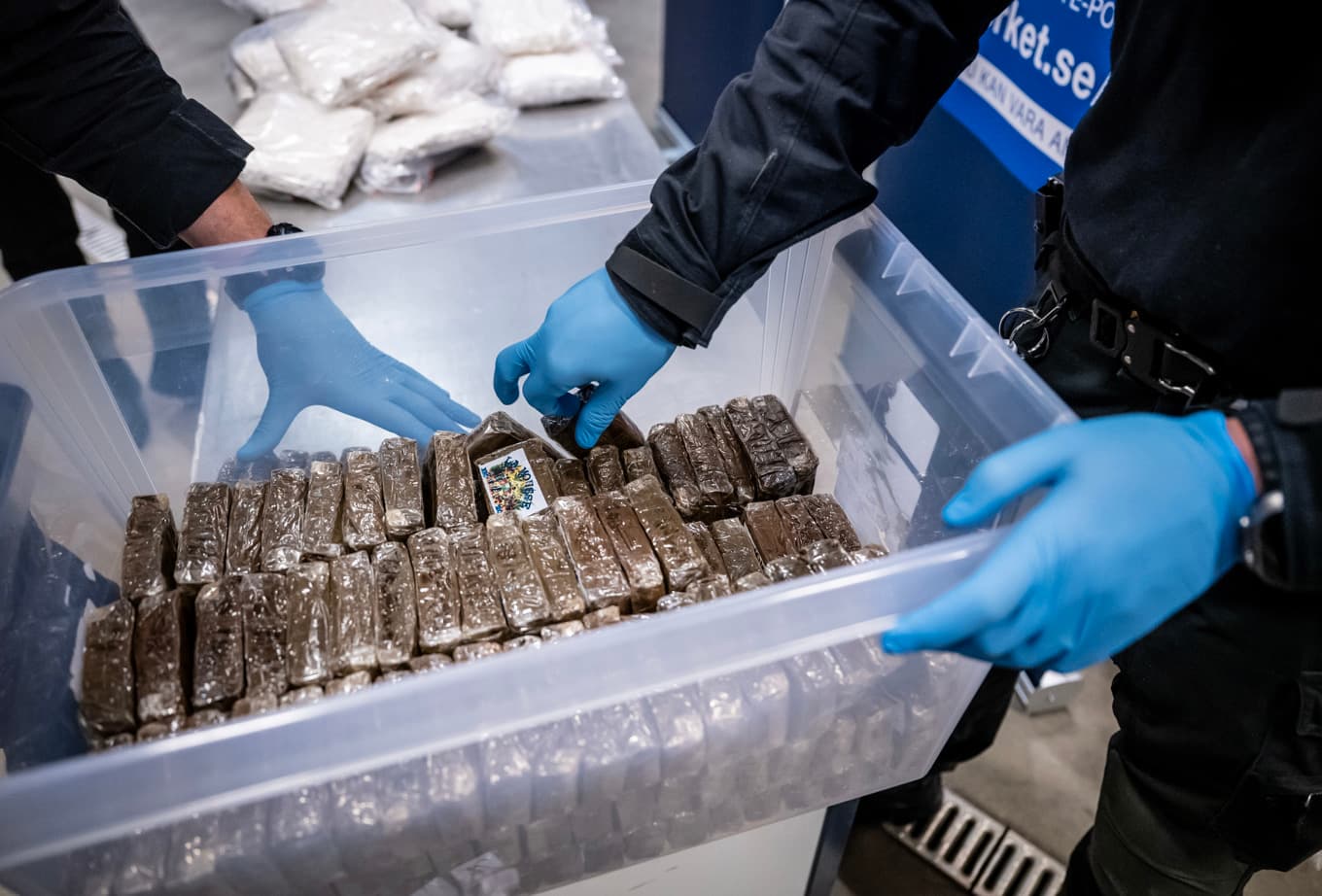 Bild från ett annat cannabisbeslag. Arkivbild. Foto: Johan Nilsson/TT