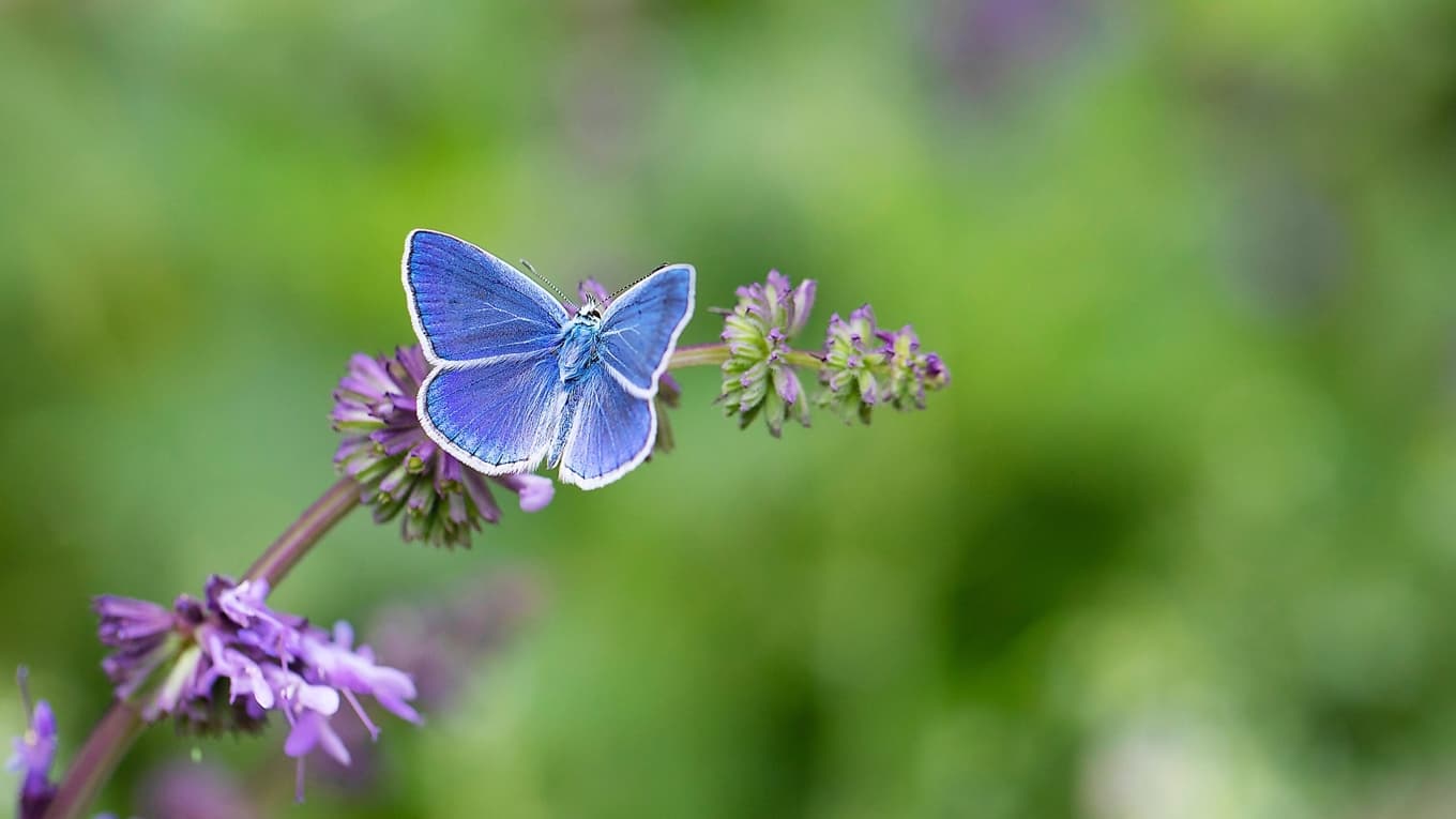 Det som i förstone ser litet och obetydligt ut får i slutändan enorma konsekvenser, skriver Per Brinkemo. Foto: Kenan Talas/Shutterstock