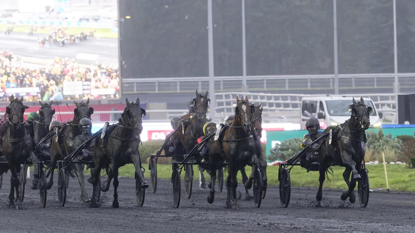 Hokkaido Jiel (längst till höger) spurtar förbi utvändige Josh Power och vinner årets Prix d’Amérique. Foto:  Thomas Blomqvist/TR Bild
