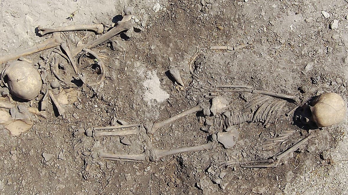 I en av stenåldersgravarna på Gotland låg en flicka på 8–10 år och en kvinna 18–20 år gammal. Analysen visar att de var släkt i tredje led. Foto: Johan Norderäng