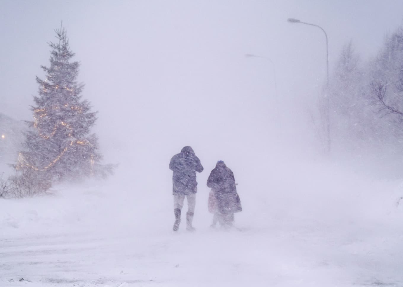 SMHI varnar för mycket hårda vindbyar. Arkivbild. Foto: Sam Hedman / TT