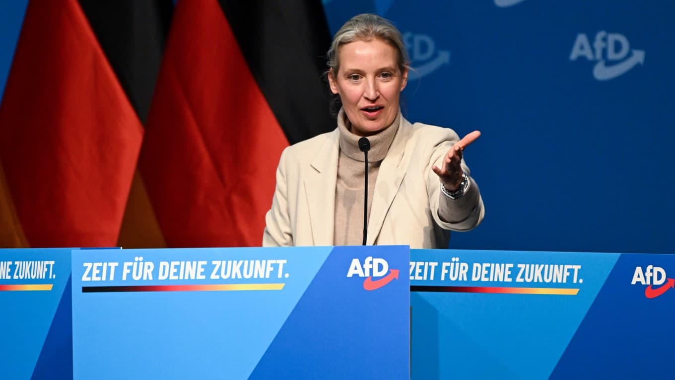 Alice Weidel, en av ledarna för partiet AFD. Foto: Florian Wiegand/Getty Images