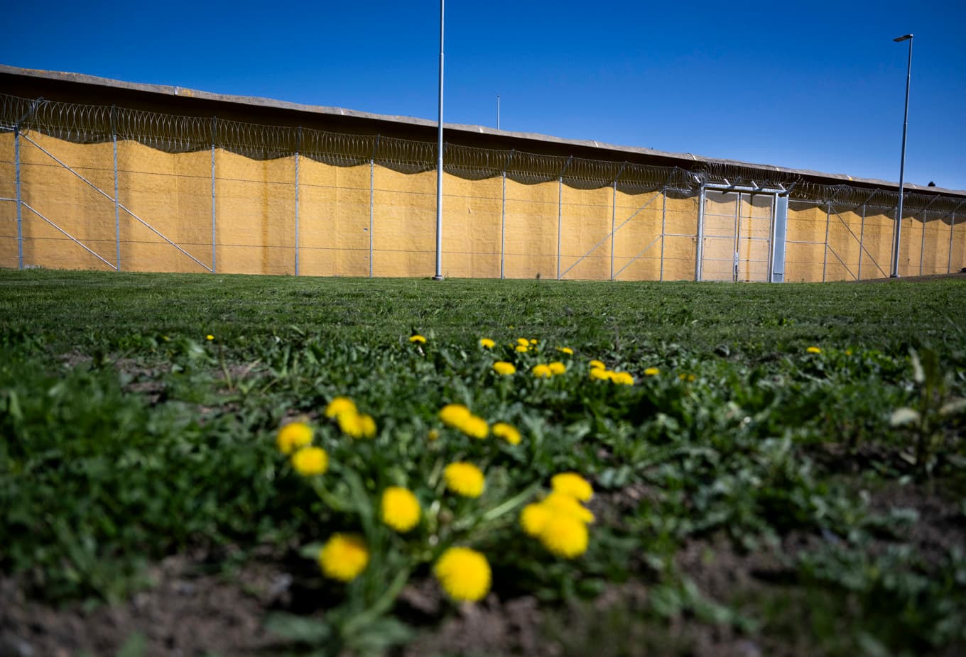 Kriminalvårdens anstalt i Kumla. Arkivbild. Foto: Pontus Lundahl/TT