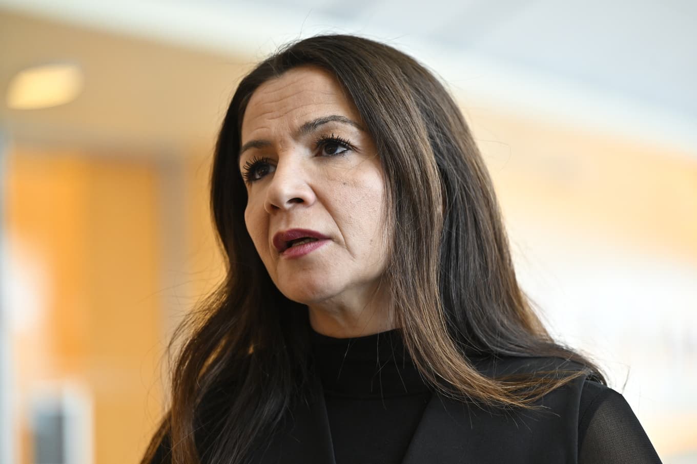 Den liberala riksdagsledamoten Gulan Avci. Arkivbild. Foto: Henrik Montgomery/TT