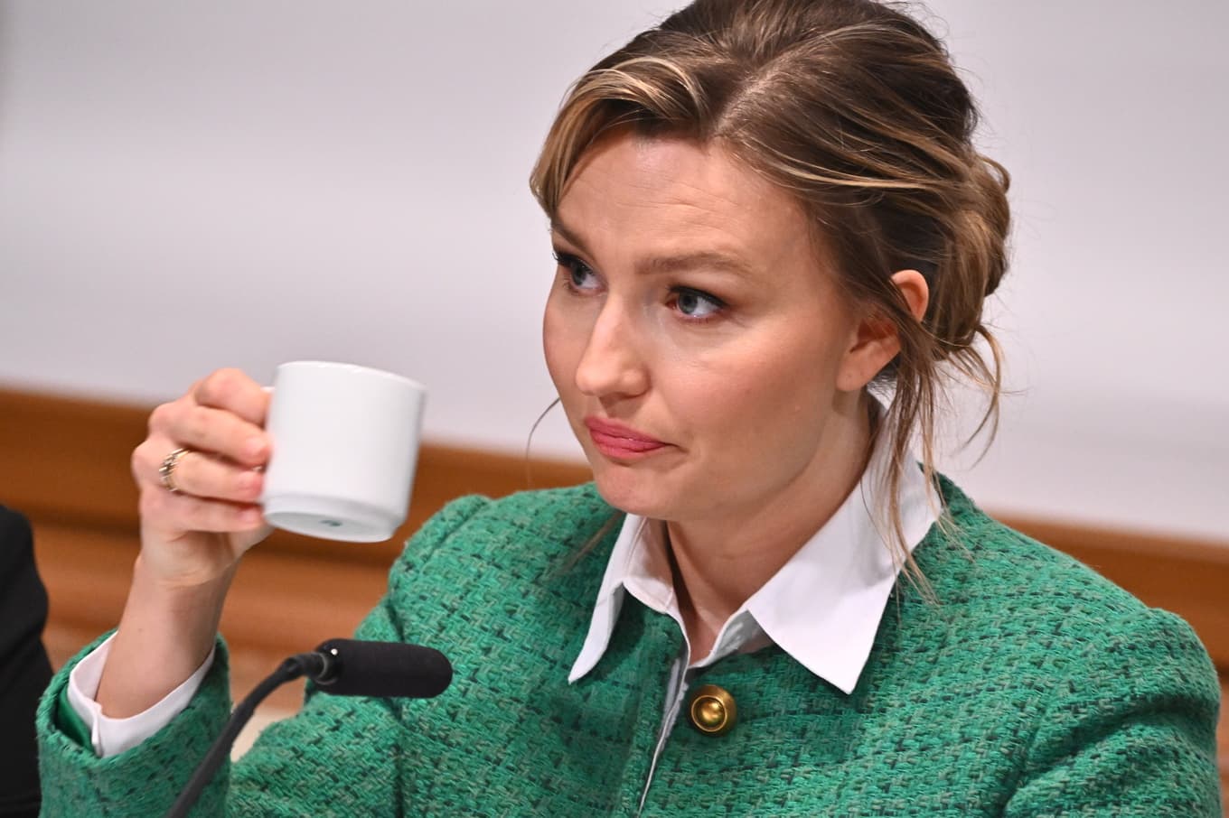 Energi- och näringsminister Ebba Busch (KD). Arkivbild. Foto: Claudio Bresciani / TT