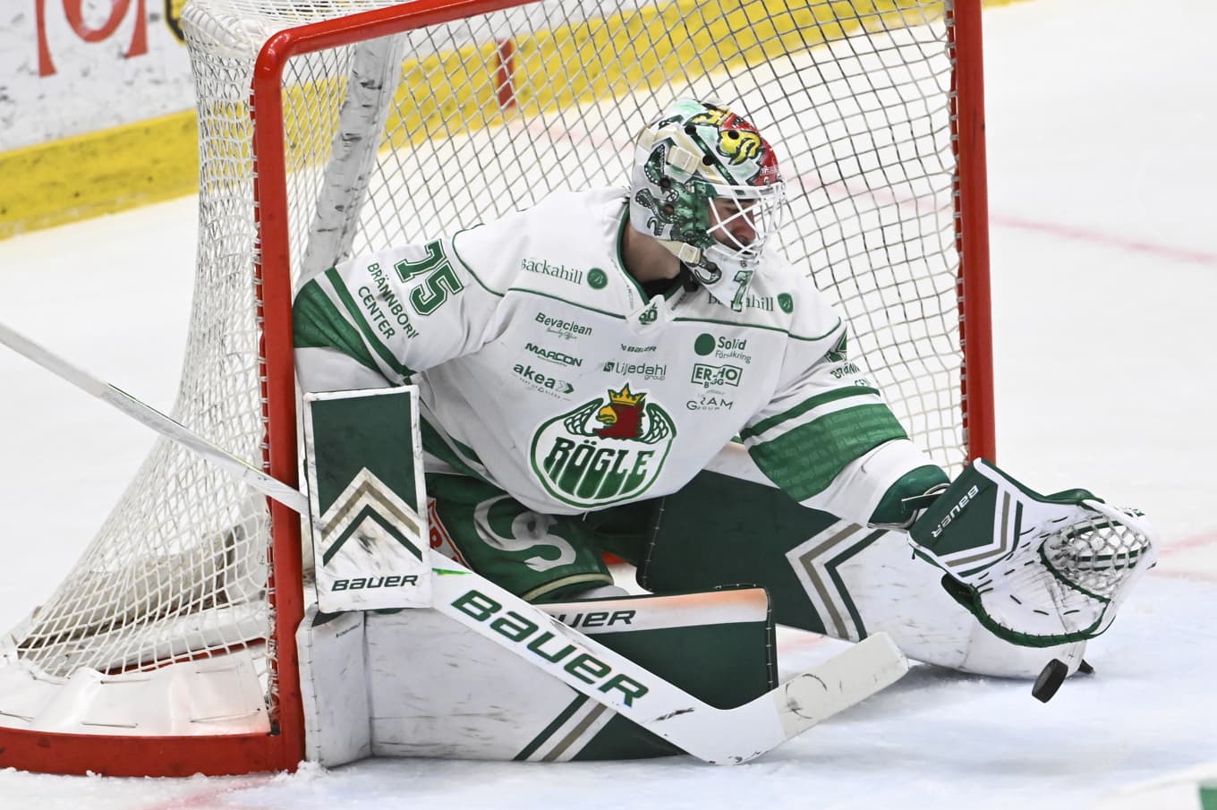 Rögles målvakt Arvid Holm. Arkivbild. Foto: Henrik Montgomery/TT