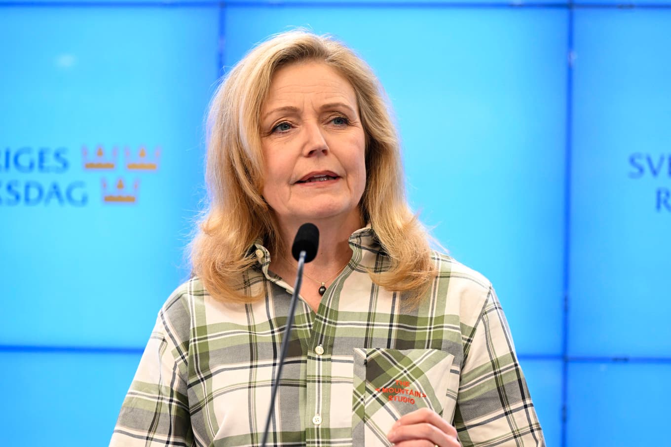 Centerpartiets ledare Elisabeth Thand Ringqvist presenterar regeringskrav. Arkivbild. Foto: Jessica Gow/TT