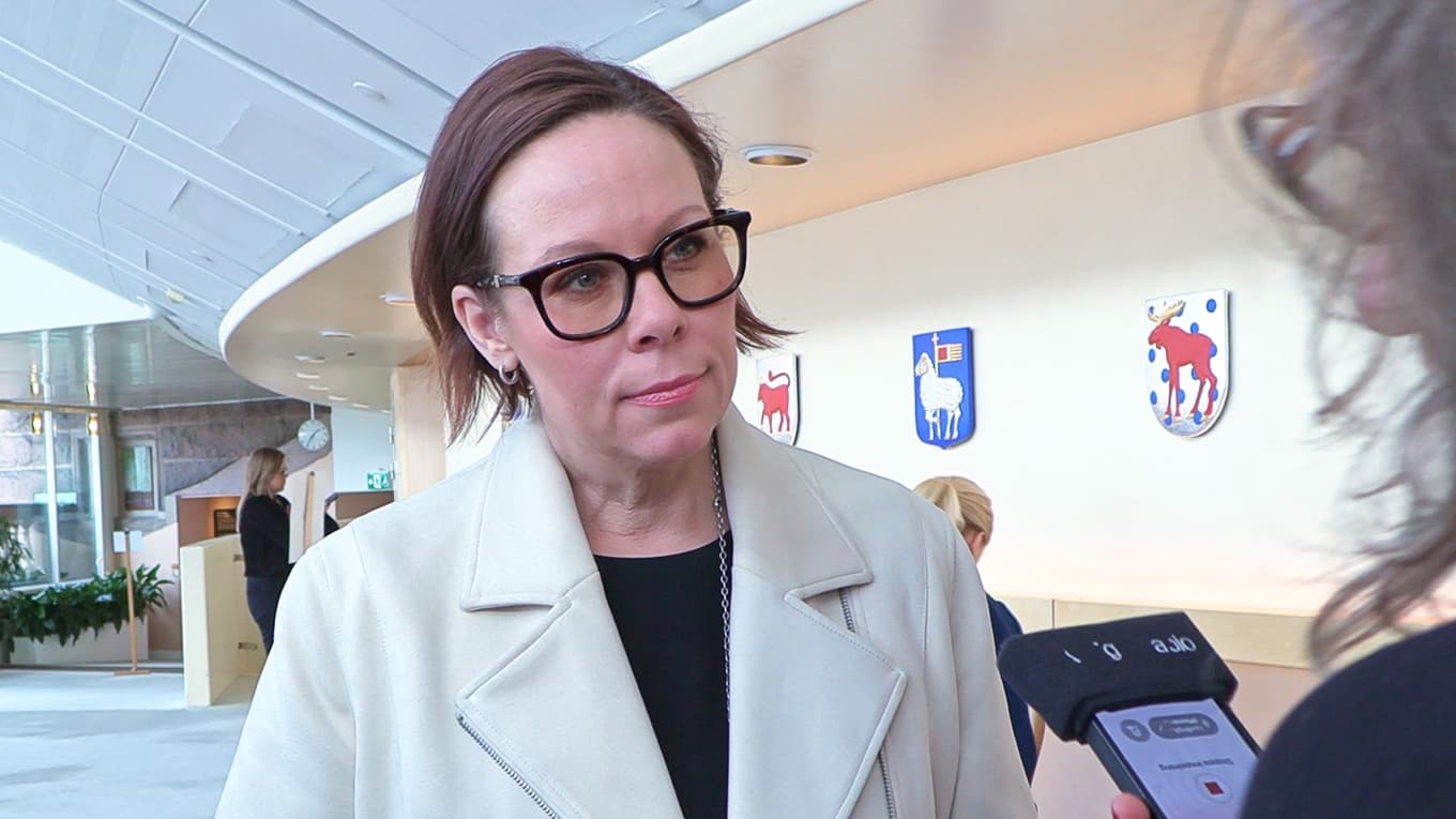 Tusentals svenskar sitter fast i Dubai och andra delar av Mellanöstern sedan flygtrafiken stoppats efter de militära attackerna mot Iran. Foto: Carl S:t Clair Renard