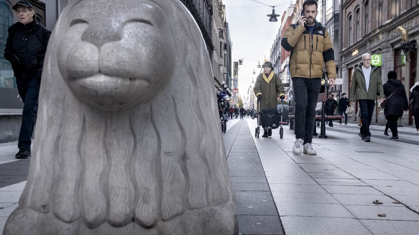 Regeringen vill kunna återkalla svenskt medborgarskap för gängkriminella och terrorister. Förslaget omfattar omkring 1 400 personer med dubbla medborgarskap och kräver en grundlagsändring för att bli verklighet. Foto: Magnus Hjalmarson Neideman/TT