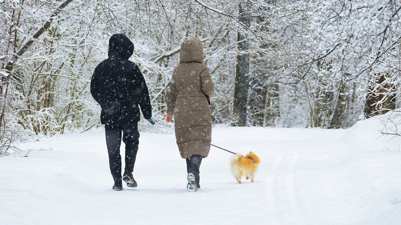 Infiltration genom personliga förhållanden framhålls som en vanlig metod för obehöriga att skaffa sig tillgång till hemlig eller på annat sätt klassificerad information. Foto: Shutterstock