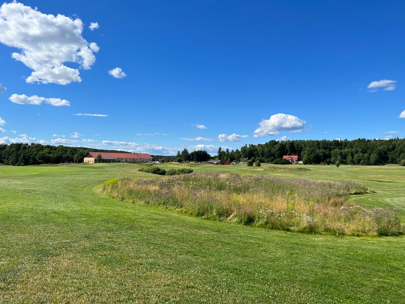 På 2010-talet tycktes många politiker plötsligt upptäcka ”svenska värderingar” menar skribenten. Foto: Sofia Drevemo