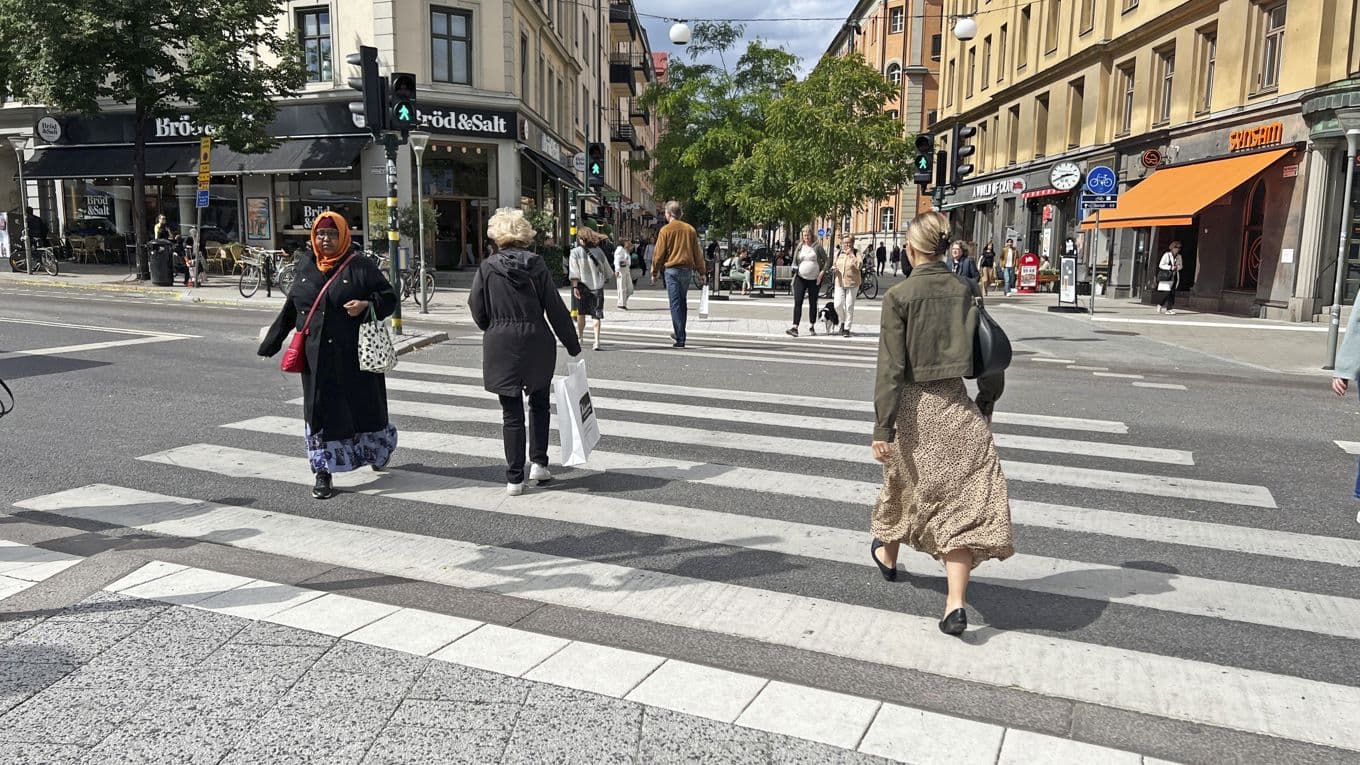 Sverige som land befinner sig mitt i individuationsprocessen och har börjat uppnå en mer realistiskt självbild. Foto: Sofia Drevemo