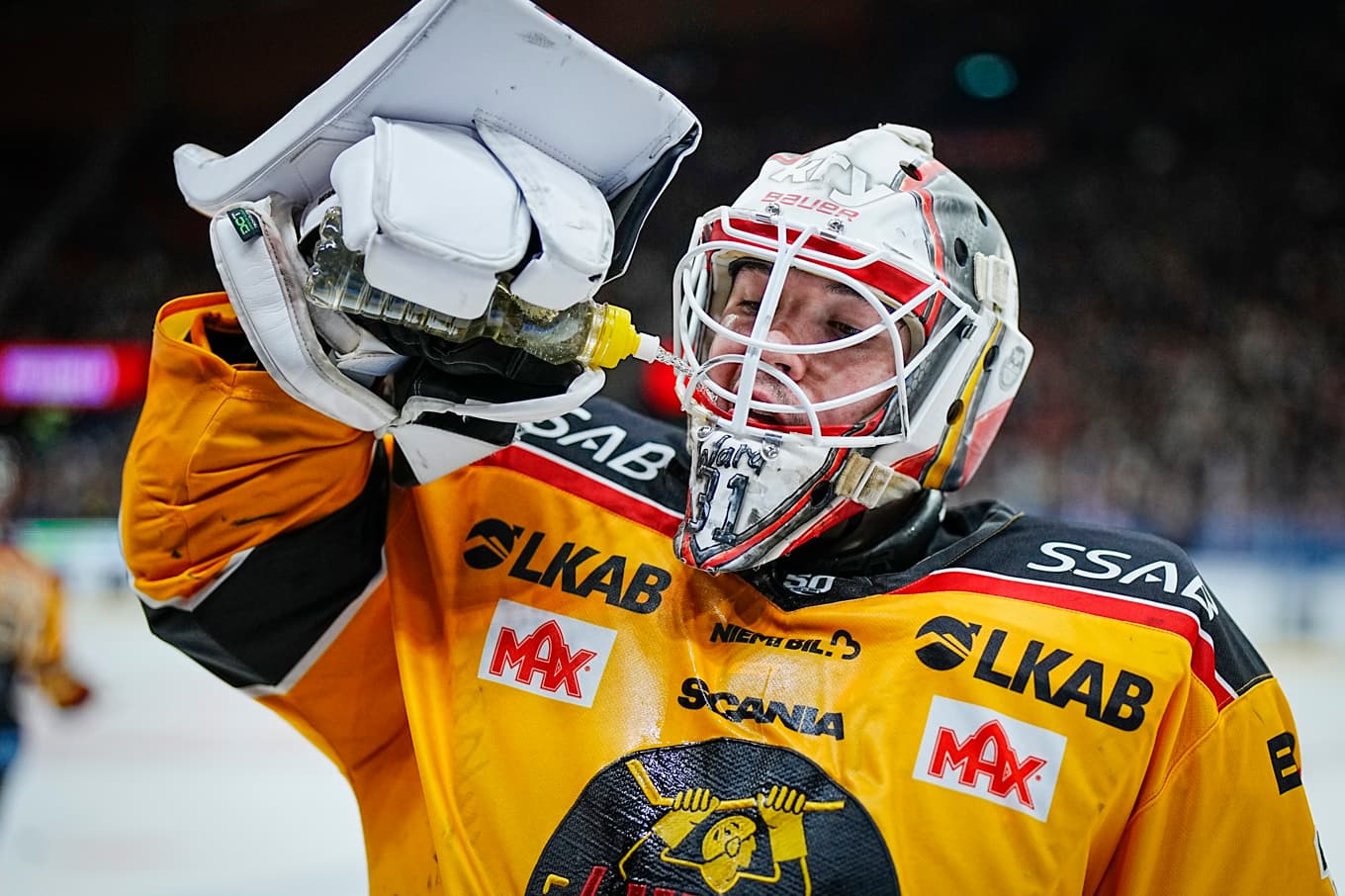 Luleås målvakt Matteus Ward. Arkivbild. Foto: Björn Larsson Rosvall/TT