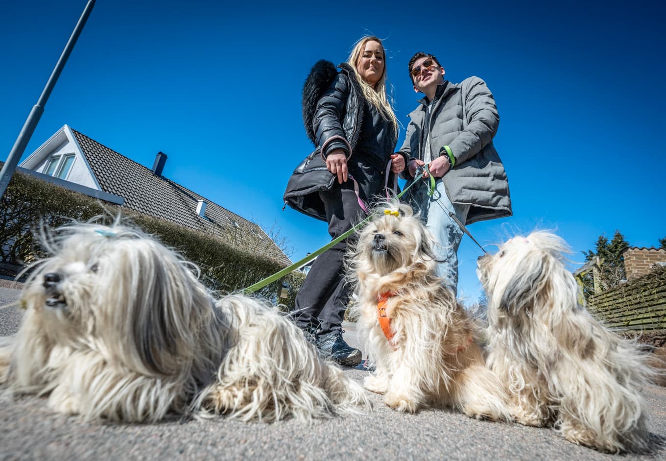 Viktor Kjellsson och hans fru Zabina Lenander har inga barn, men tre hundar. Foto: Johan Nilsson / TT