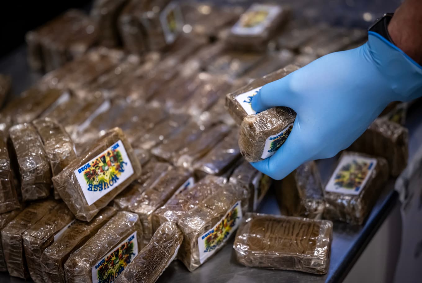 På bilden ett annat beslag av cannabis beslagtagit av tullen. Arkivbild. Foto: Johan Nilsson/TT