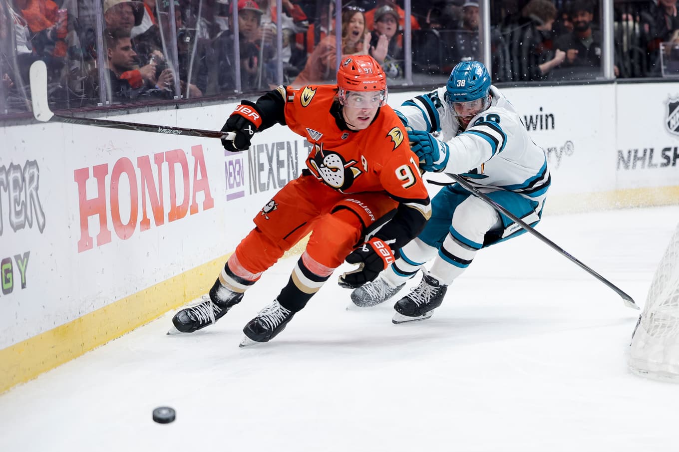 Leo Carlsson, 91, och Vancouvers Mario Ferraro i kamp om pucken. Foto: Ryan Sun/AP/TT