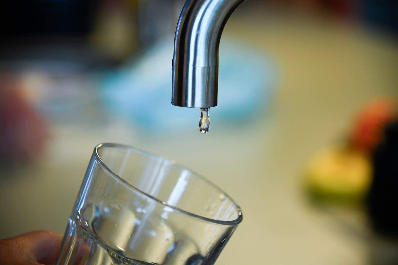 Det är risk för låga grundvattennivåer i Skåne. Arkivbild. Foto: Lars Schröder/TT