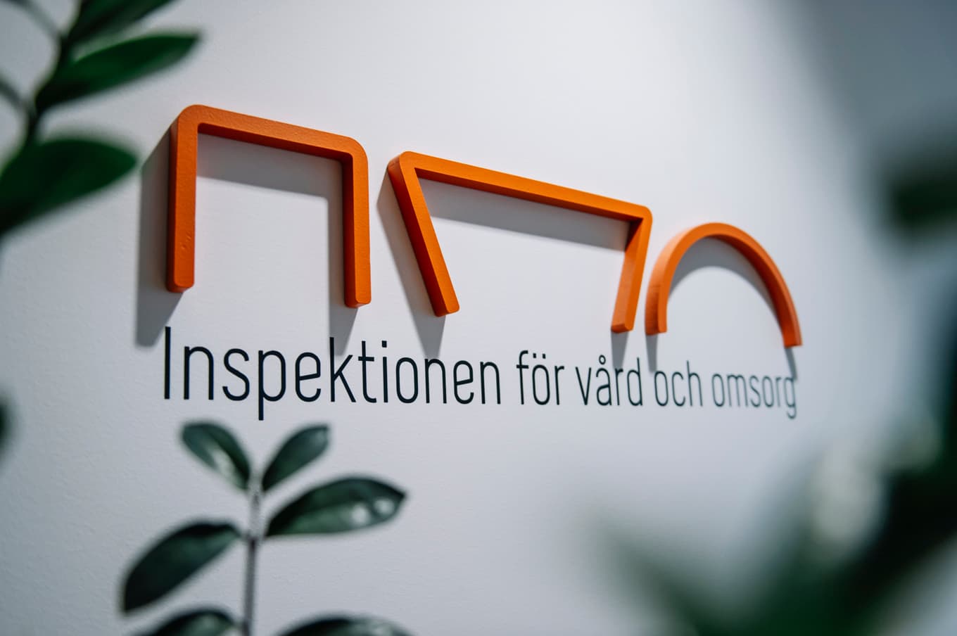 Inspektionen för vård och omsorg (Ivo) har skärpt arbetet mot oseriösa och kriminella aktörer. Arkivbild. Foto: Stina Stjernkvist/TT