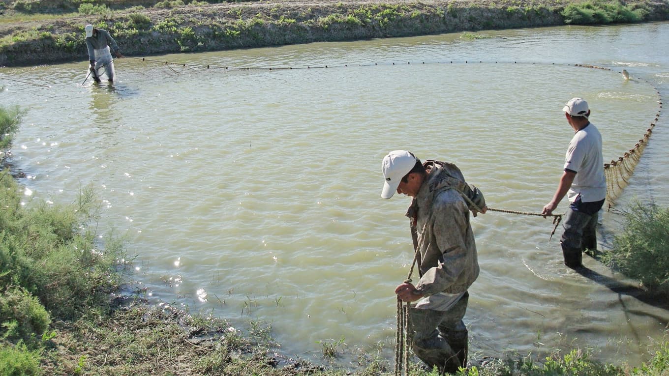 Norra Aralsjön har räddats. Här ses fiskare vid en mindre sjö som är ansluten dit, Kamystybas. Foto: Antoine Lambroschini/AFP/Getty Images
