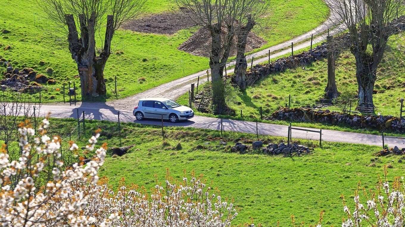 Våren har kommit till Sverige. Dags för sommardäck! Foto: Lasse Johansson/Shutterstock