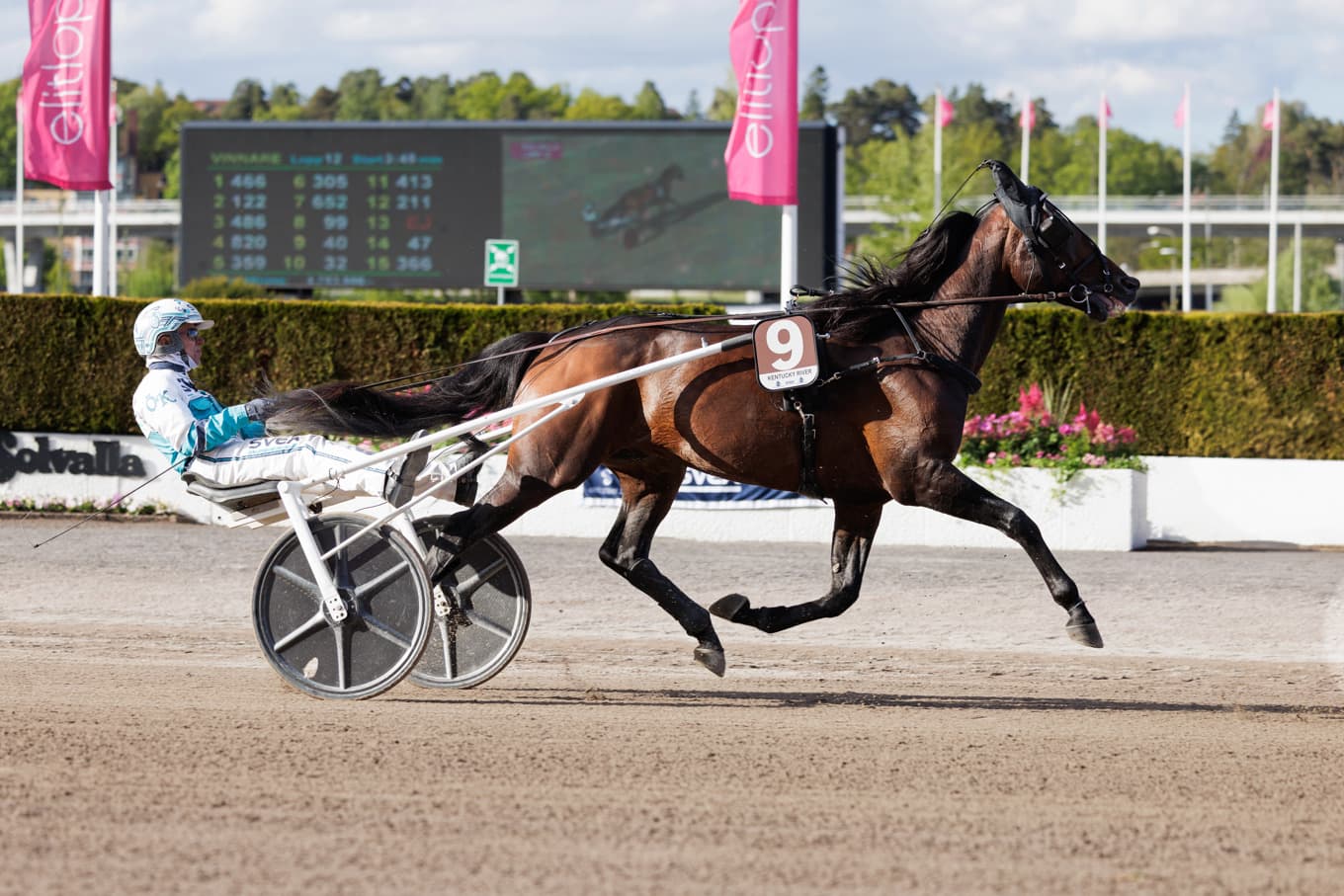 Daniel Redén-tränade Kentucky River och kusken Örjan Kihlström. Foto: Lena Emmoth / TR Bild