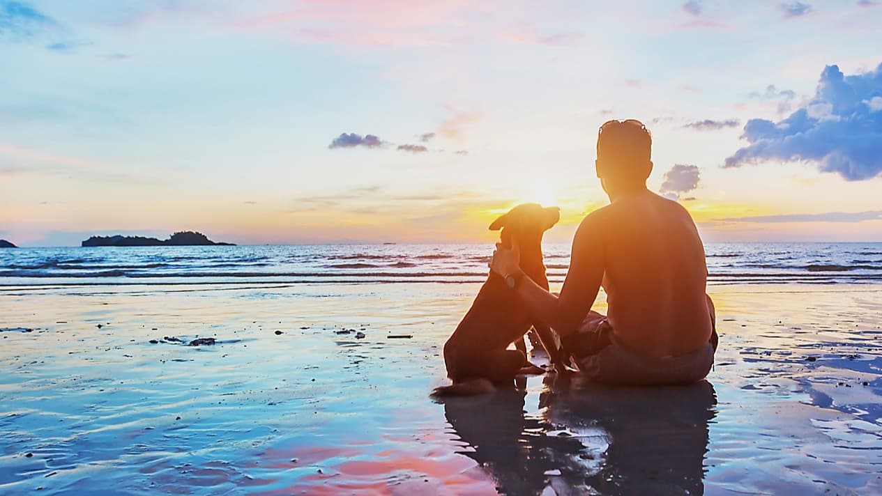 Lotta Olssons dikt slår an en särskild ton i mitt hjärta, då jag vet min mammas kärlek till stränder, solnedgångar och hundar, skriver Arne Nilsson. Foto: Shutterstock