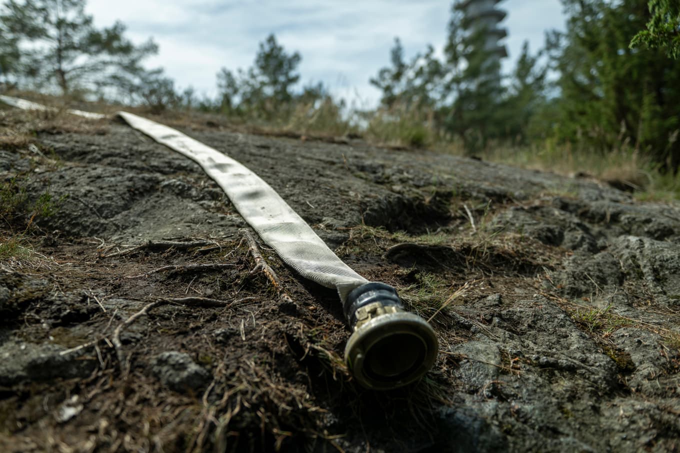 Det råder risk för bland annat skogsbränder. Arkivbild. Foto: Oscar Olsson/TT