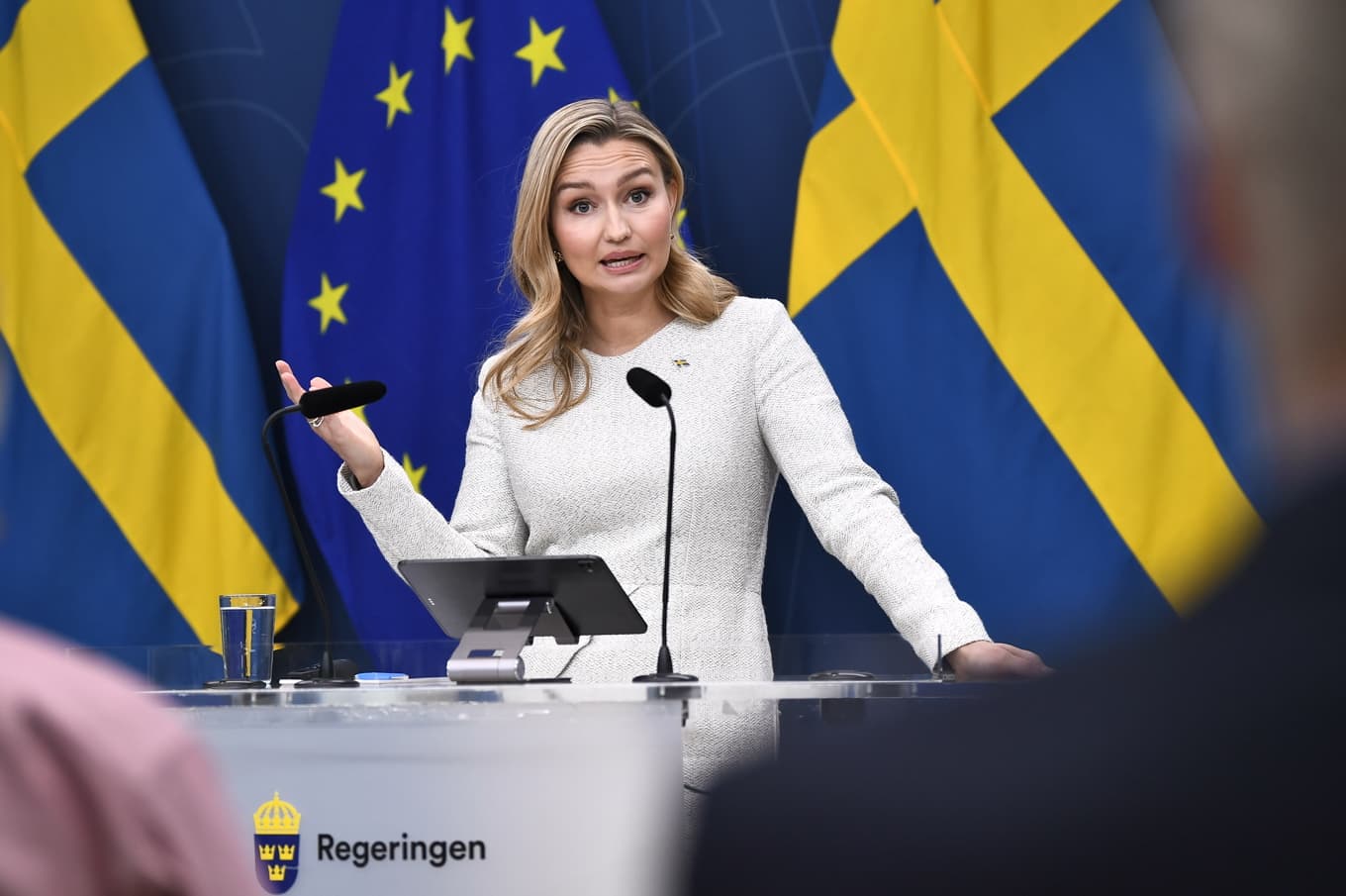 Energi- och näringsminister Ebba Busch (KD under en pressträff på fredagen. Foto: Lars Schröder/TT