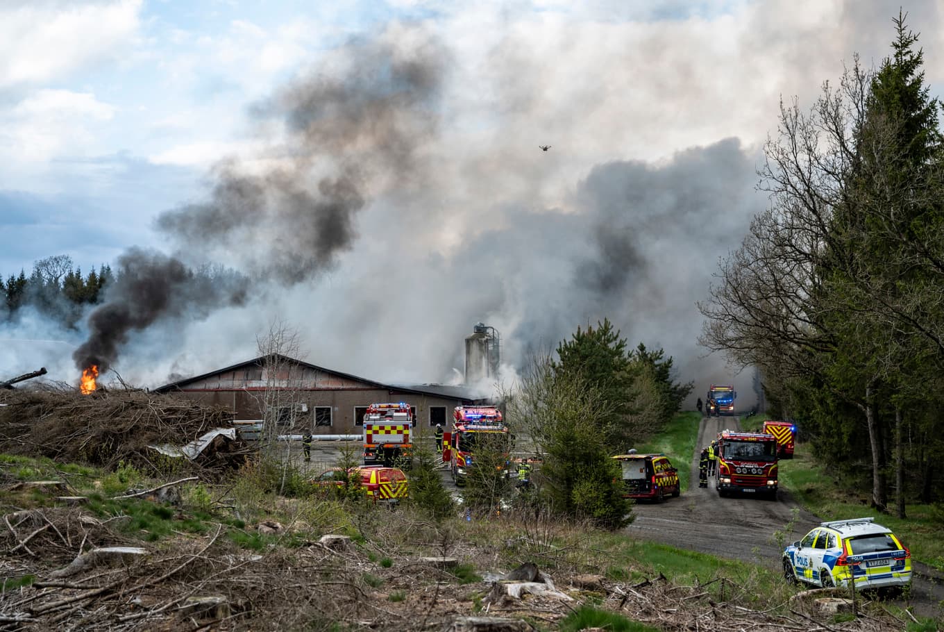 Närmare 50 000 höns brann inne vid en kraftig brand i ett hönseri. Foto: Johan Nilsson/TT