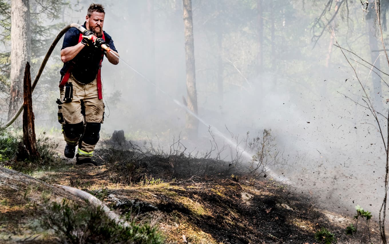 På vissa håll är risken för bränder i skog och mark mycket stor. Arkivbild. Foto: Tomas Oneborg/SvD/TT