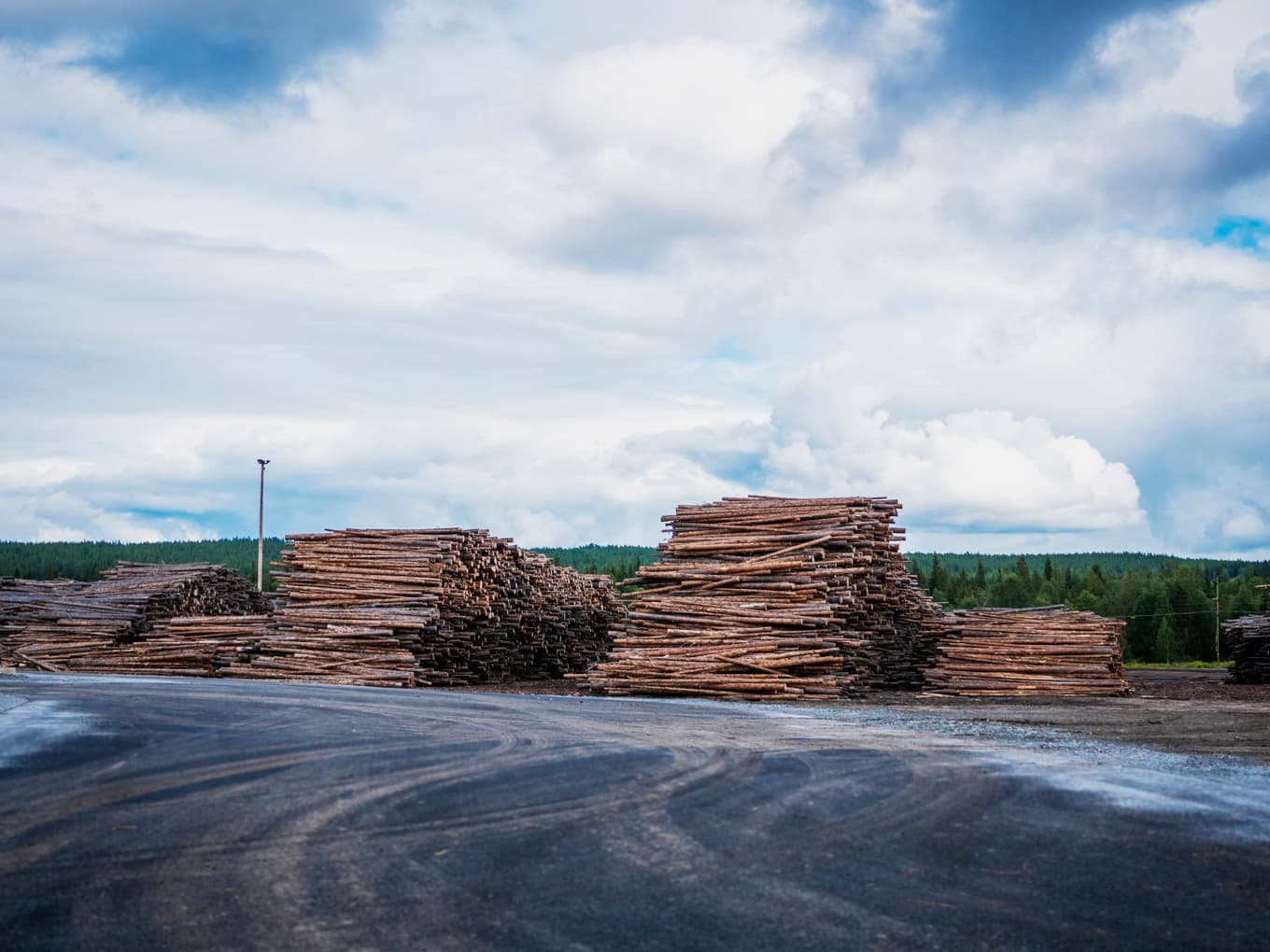 Den tekniska ”edge” som svensk och finländsk skogsindustri hade fram till 1980- eller 90-talet är numera borta, skriver Per Lindvall.  foto: Bilbo Lantto