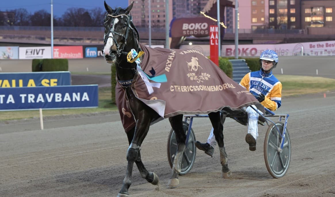Får vi se Daniel Wäjersten-tränade Mellby Jinx i Elitloppet även i år? Foto: Lars Jakobsson / TR Bild