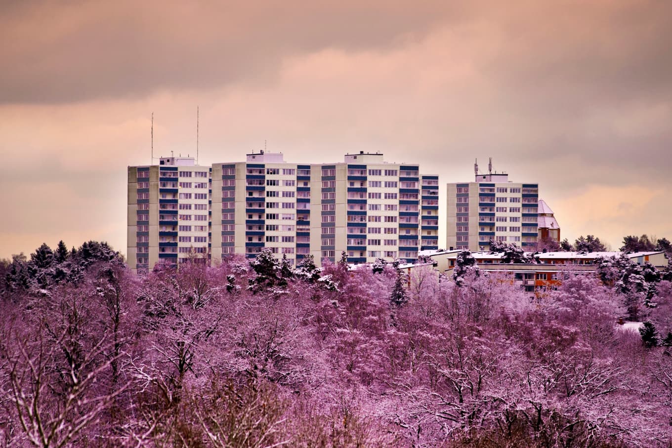 ”Mina drömmars land” är en serie med sex olika kortfilmer om Sverige vid mitten av 2020-talet. foto: Salim Alsabbagh
