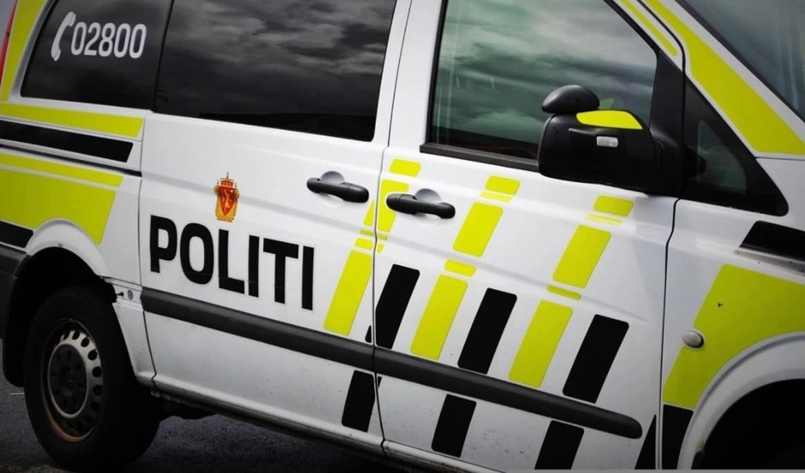 Den 21-årige Ali Namdar är efterlyst av både svensk och norsk polis såväl som Europol. Foto: Daniel DeNiazi