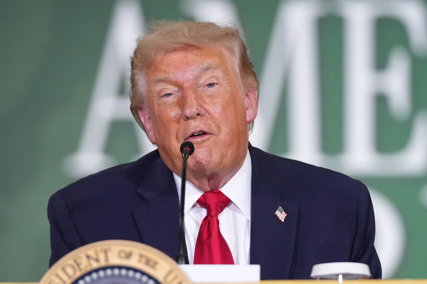 USA:s president Donald Trump. Foto: Mark Schiefelbein  /AP/TT