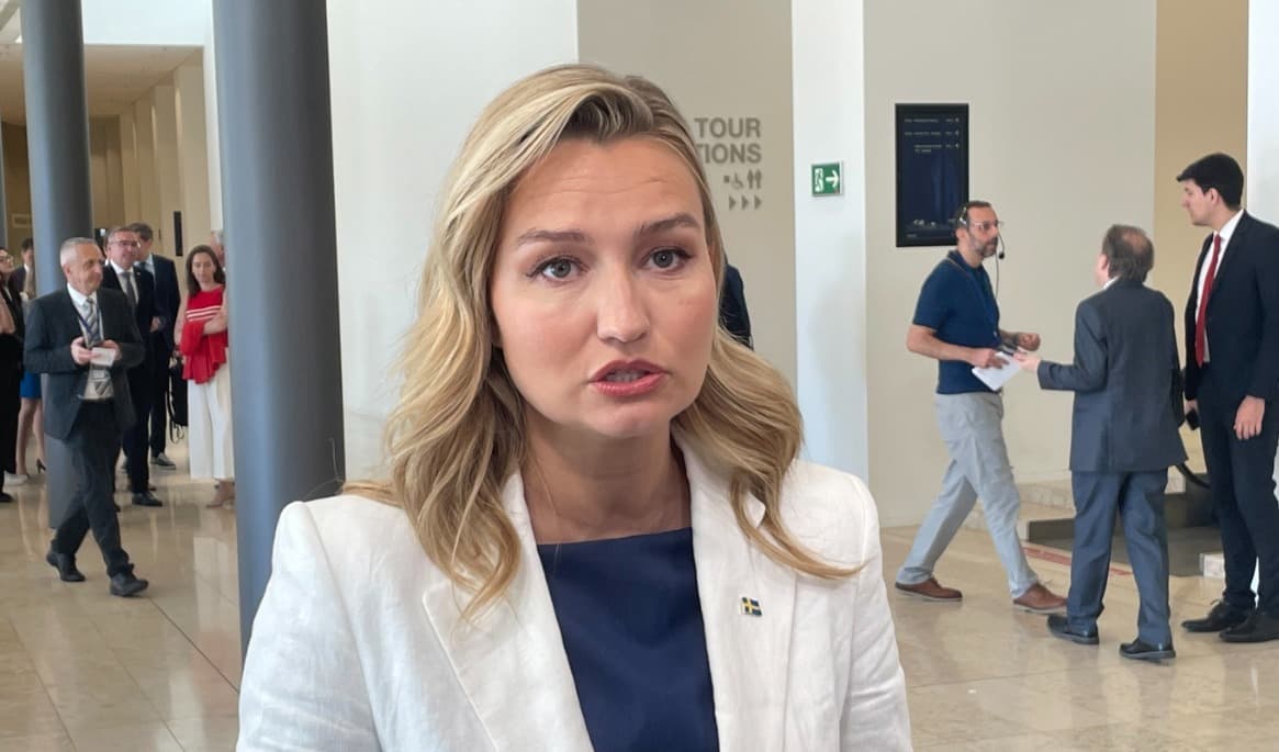 De omstridda gruvplanerna i området Norra Kärr får grönt ljus av regeringen. Gruvan är viktig för att Sverige och EU ska bli mindre beroende av Kina, enligt energi- och näringsminister Ebba Busch (KD). Foto: Wiktor Nummelin/TT