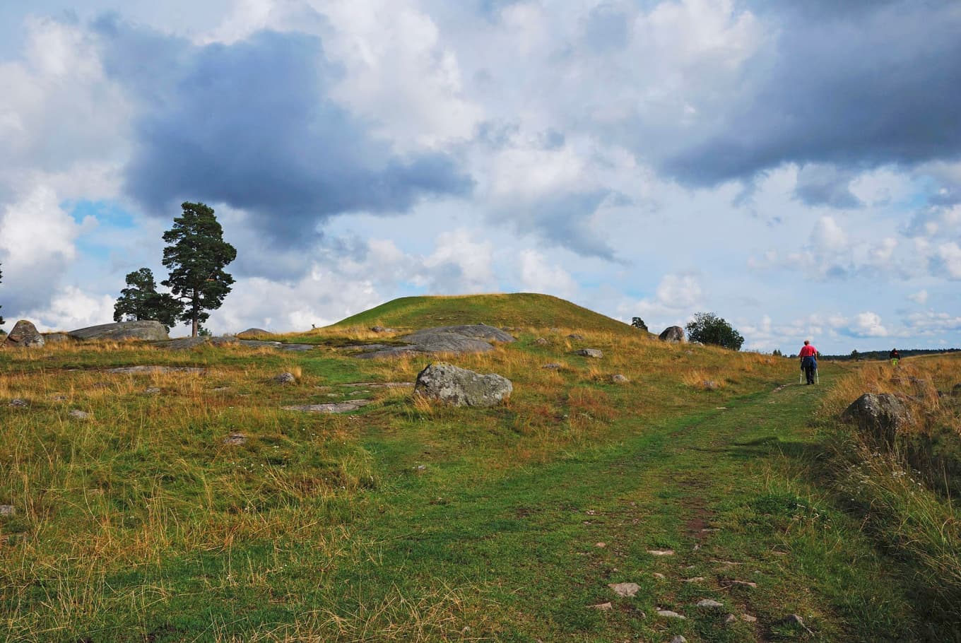 Hågahögen som den möter besökaren i detta årtusende. Landskapet var inte detsamma när högen anlades, eller ens när den grävdes ut av Almgren under tidigt 1900-tal. Foto: Johan Jönsson /Wikimedia Commons
