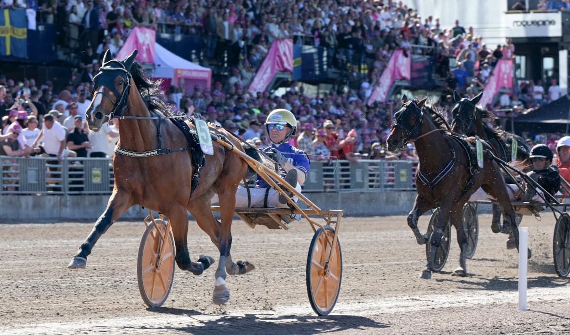 Grosbois vann Treåringseliten i glänsande stil under Elitlopps-helgen, tillsammans med sin tränare Björn Goop. Foto: Lars Jakobsson / TR Media Bild