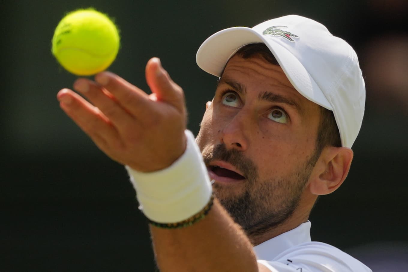 Novak Djokovic har tangerat Roger Federer i antalet matchsegrar i Wimbledon. Foto: Kin Cheung/AP/TT