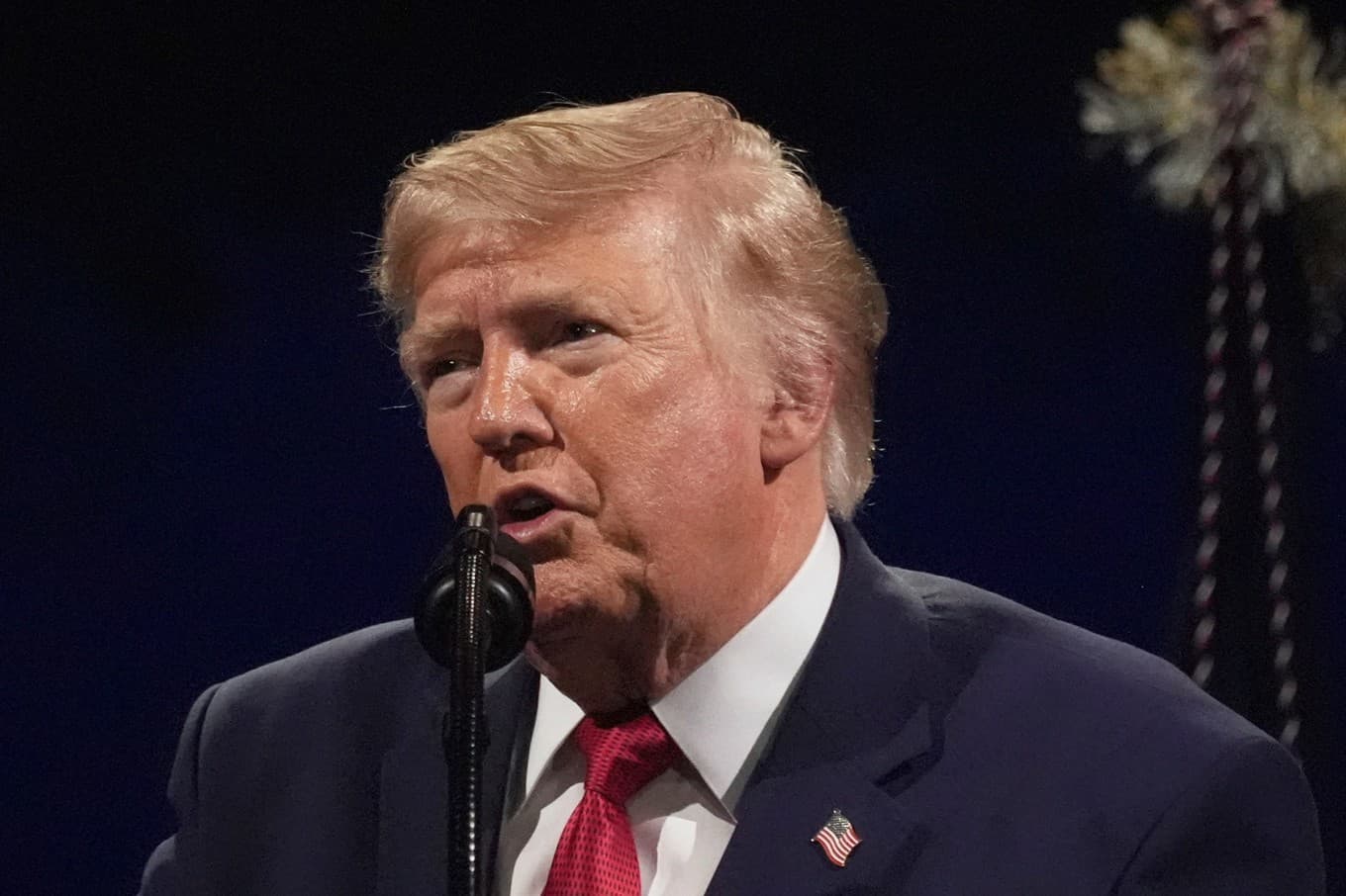USA:s president Donald Trump. Foto: Mark Schiefelbein/AP/TT