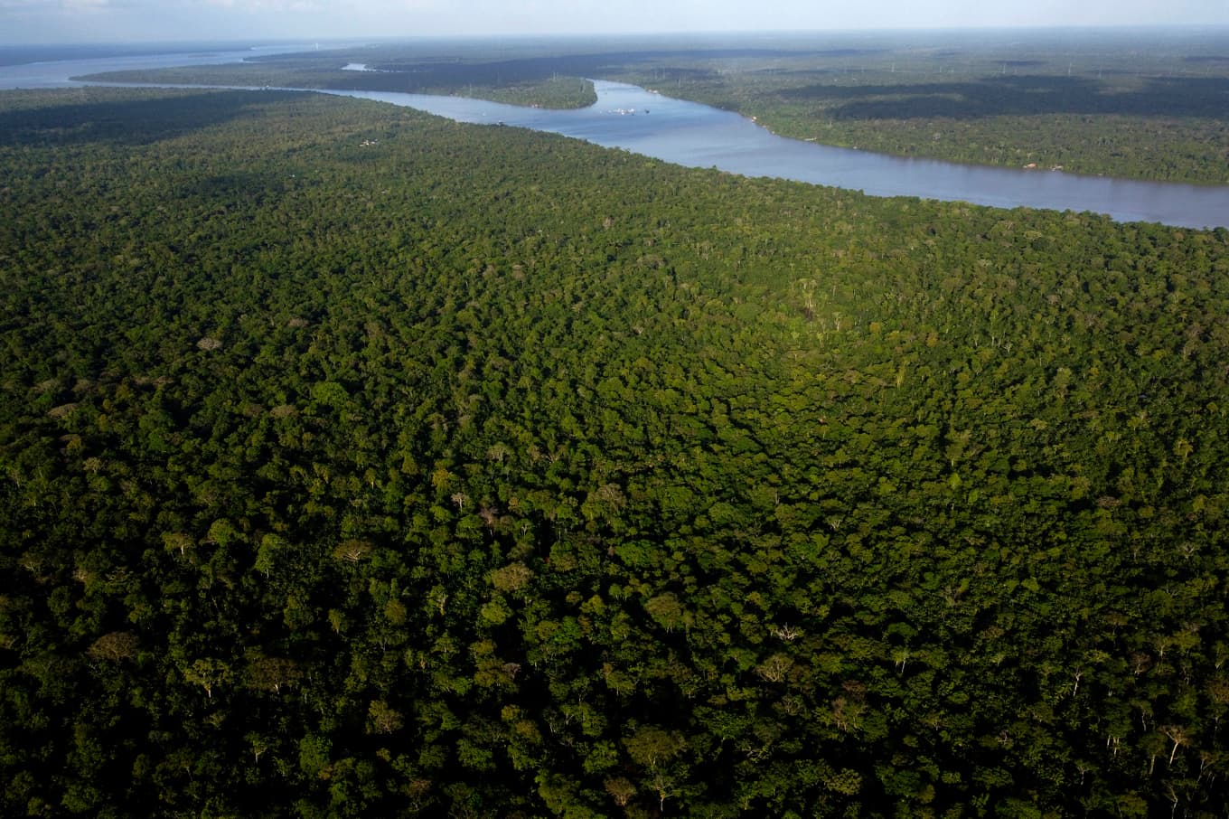 Amazonas. Arkivbild. Foto: Eraldo Peres/AP/TT